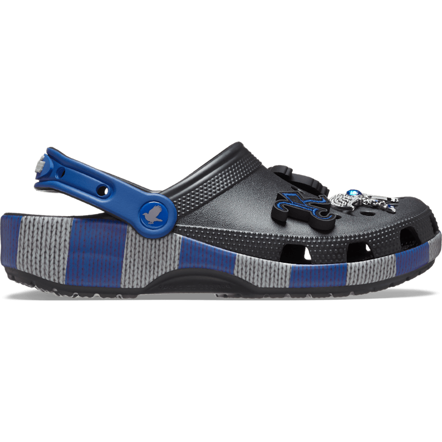 Multi Harry Potter Ravenclaw Classic Clog - Side - Crocs