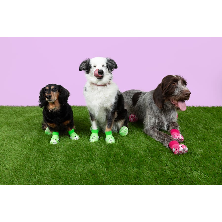 Green Slime Pet Crocs Boots - Pair - Crocs