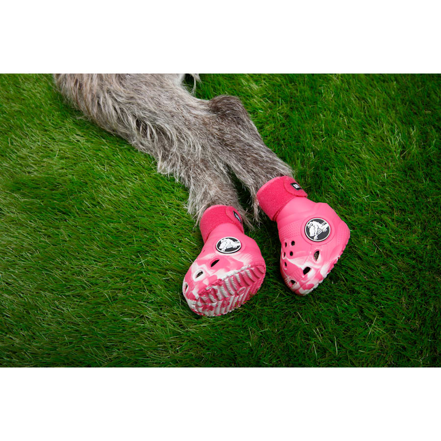 Dragon Fruit Pet Crocs Boots - Angle - Crocs