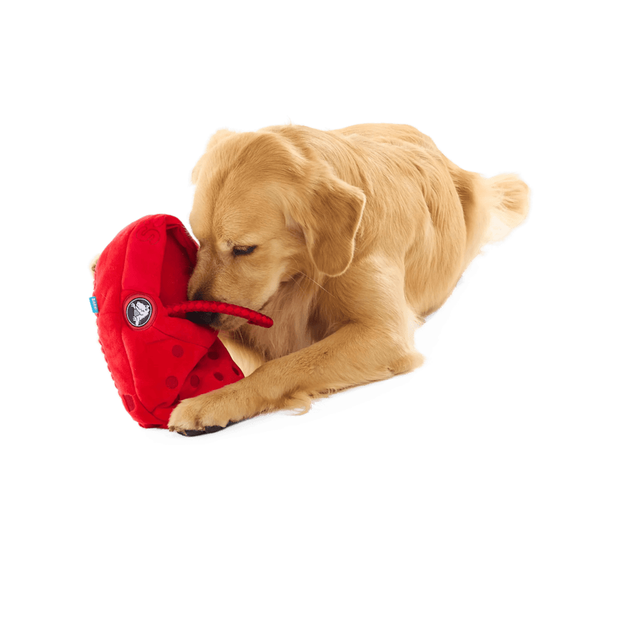Bark Classic K9 Clog Plush Tug Toy - Crocs