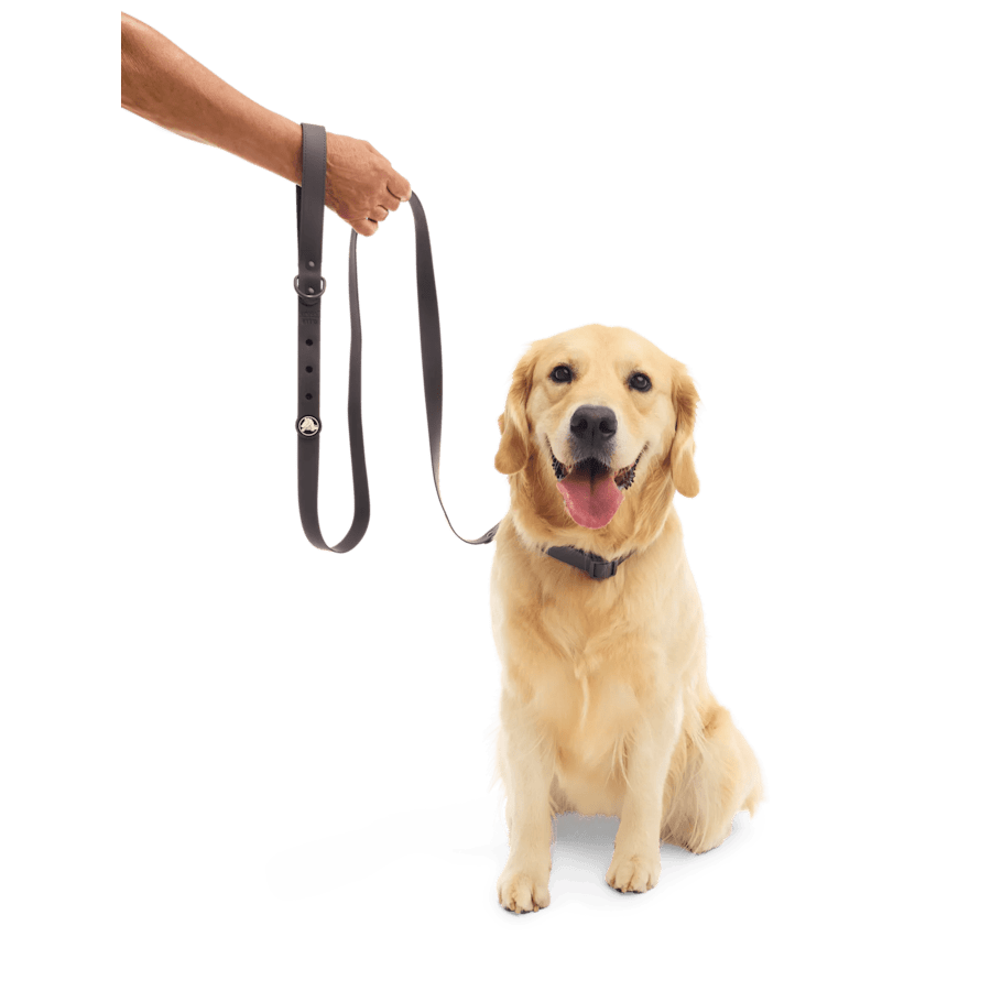 Bark Dog Leash - Crocs