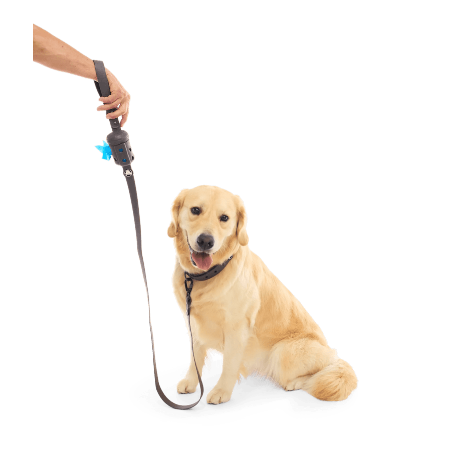Bark Dog Leash - Crocs