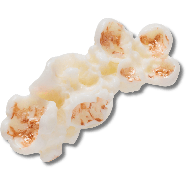 クロックス公式】リアリスティック ポップコーン 1 | ジビッツ