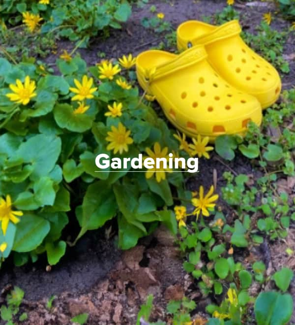 Gardening