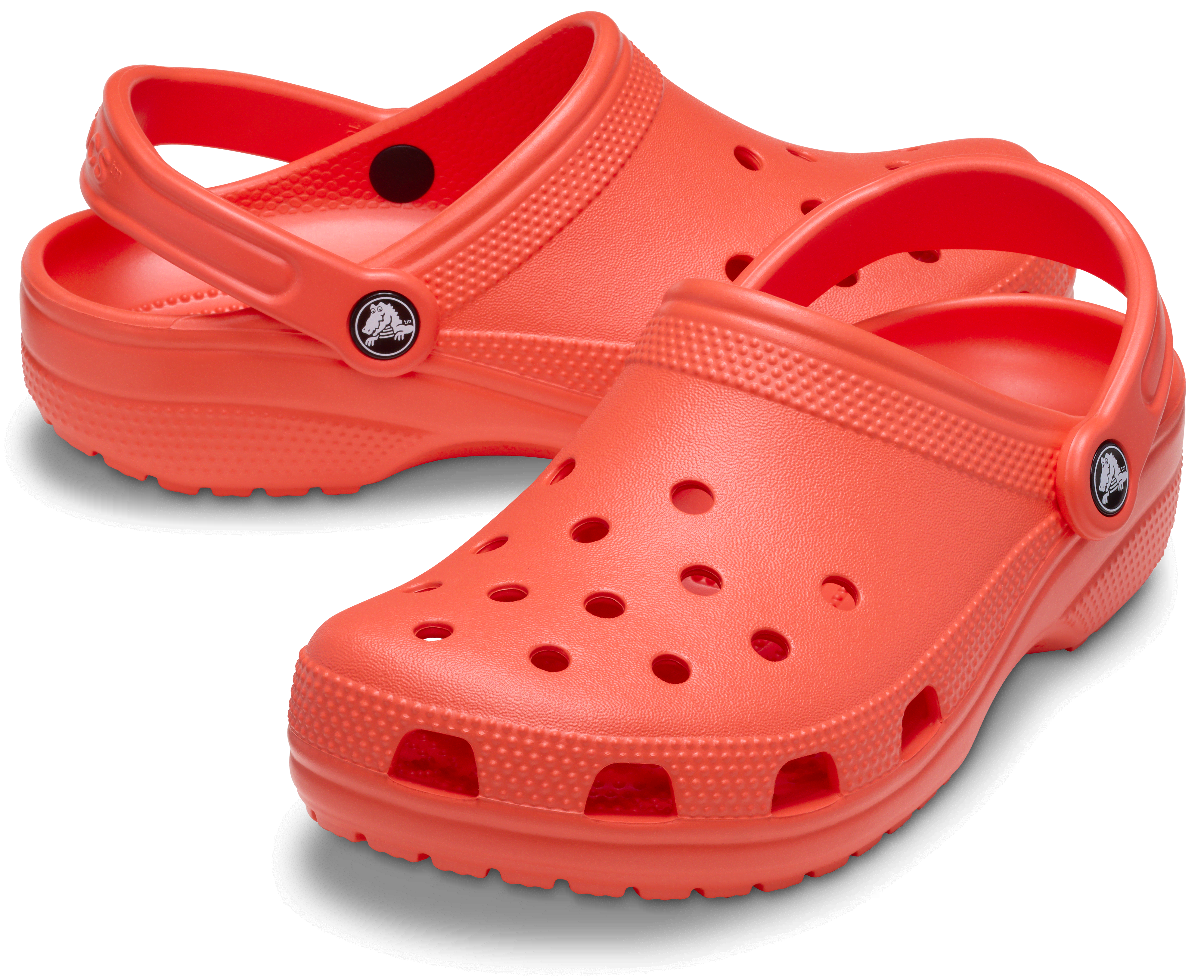 [å] å CLASSIC CLOG 󥺡ǥ å/ 26cm 饷å å
