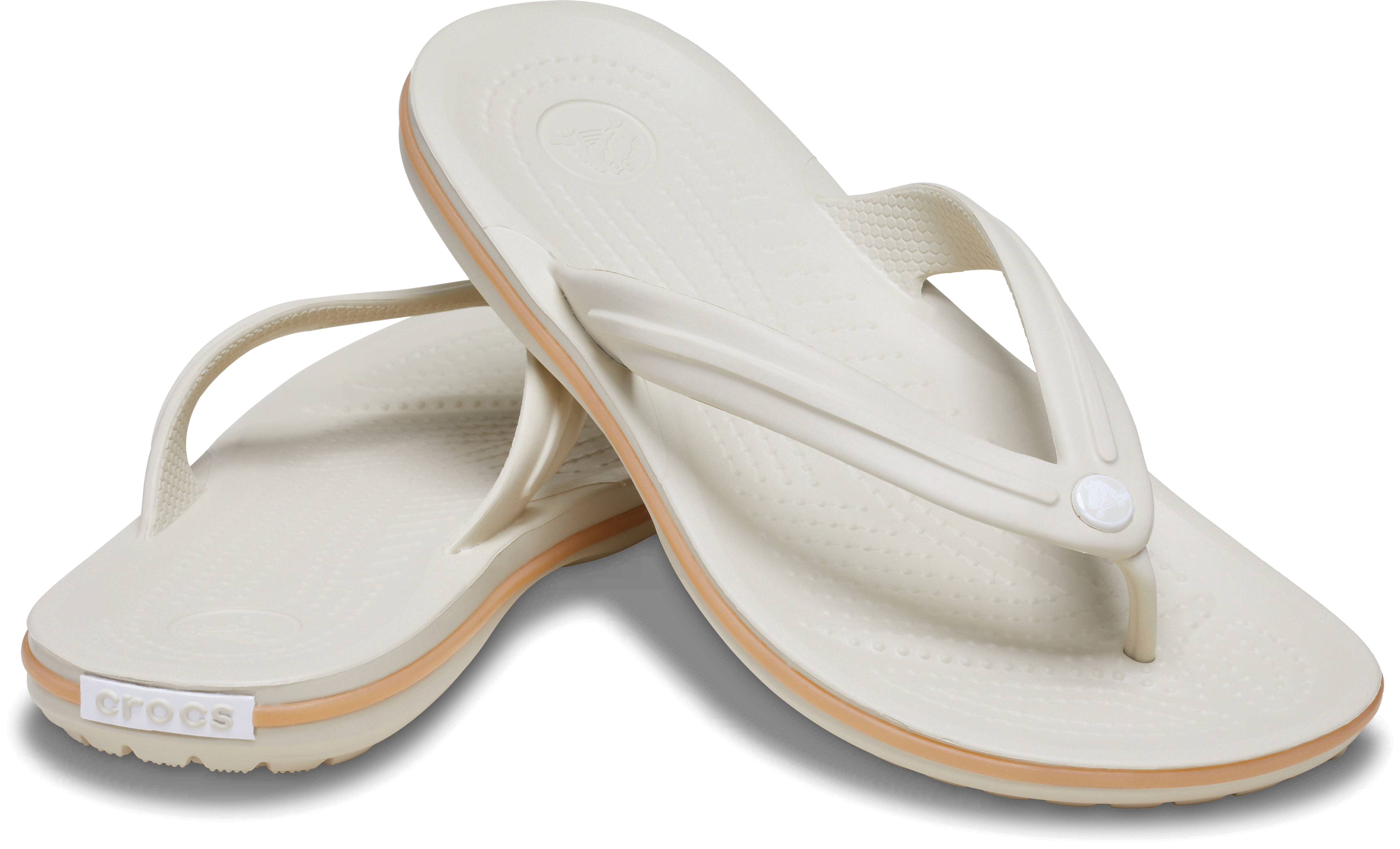 [NbNX] r[`T_ CROCBAND? FLIP YAfB[X 30cm NbNoh tbv