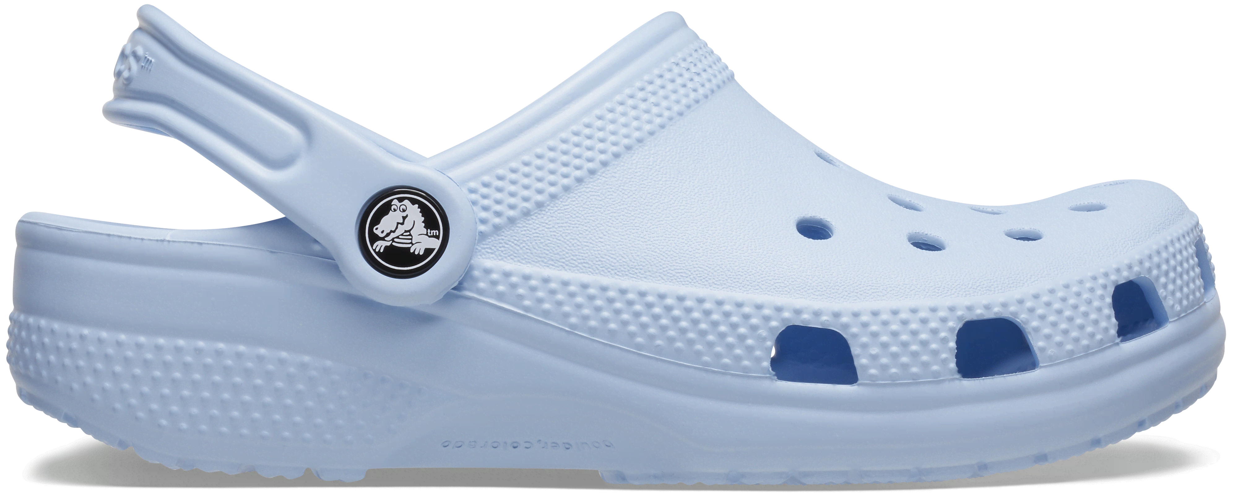 Crocs  Classic Clog T  boys's Children's Clogs (Shoes) in Blue