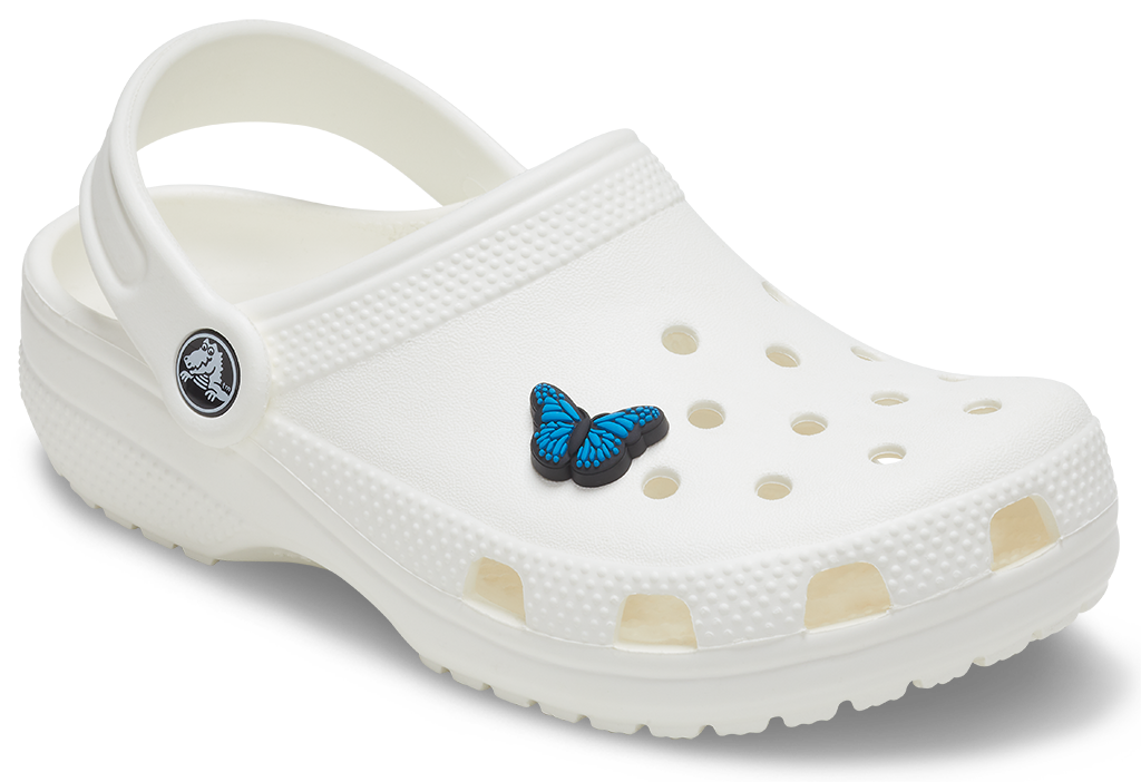 Blue Butterfly