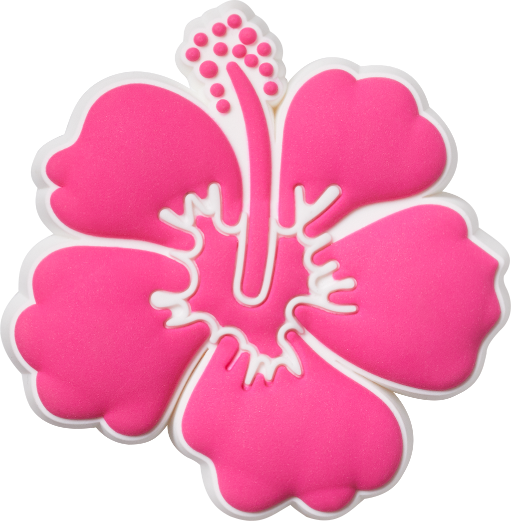 Pink Hibiscus