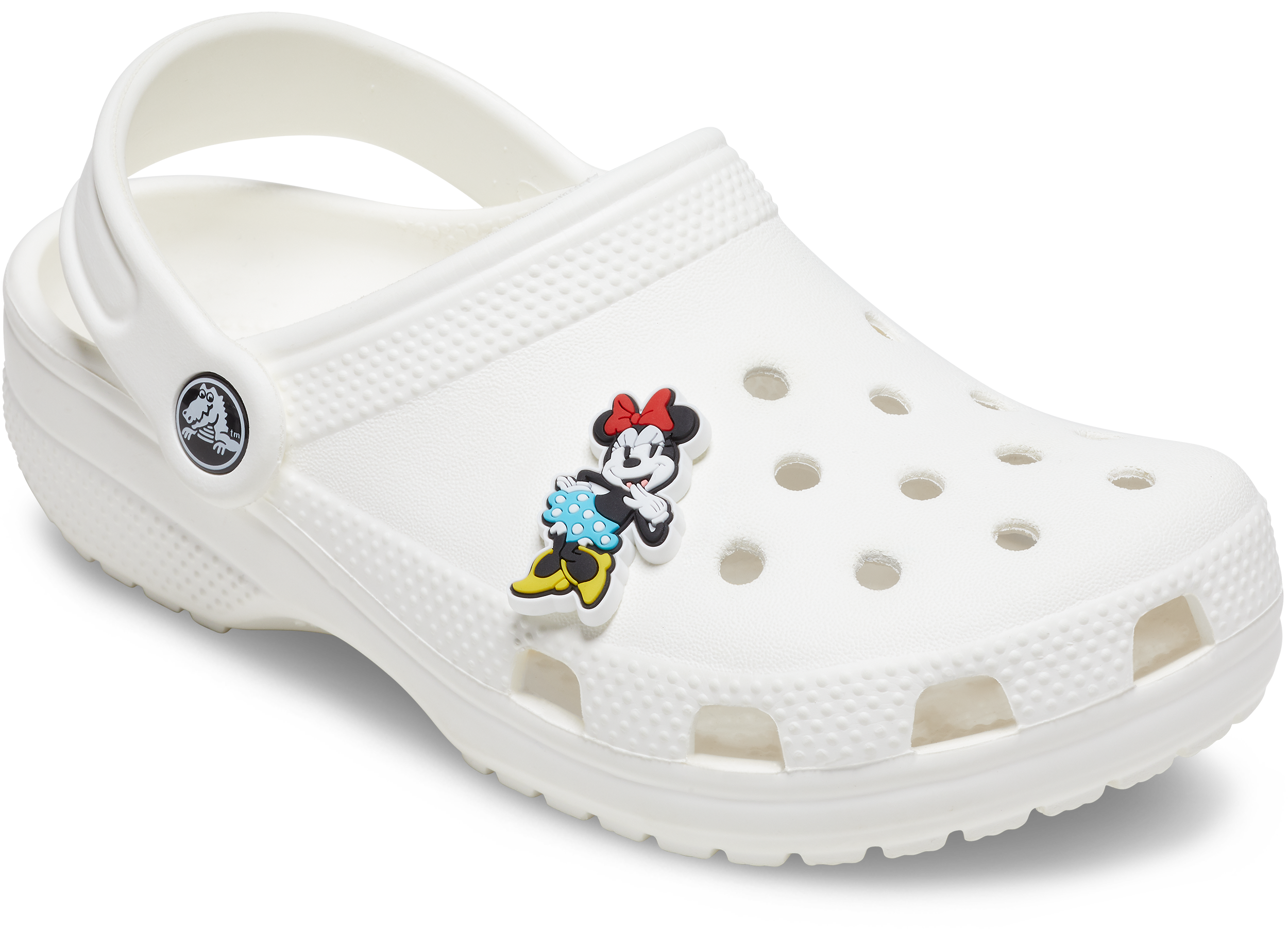 Disneys Minnie Mouse Character