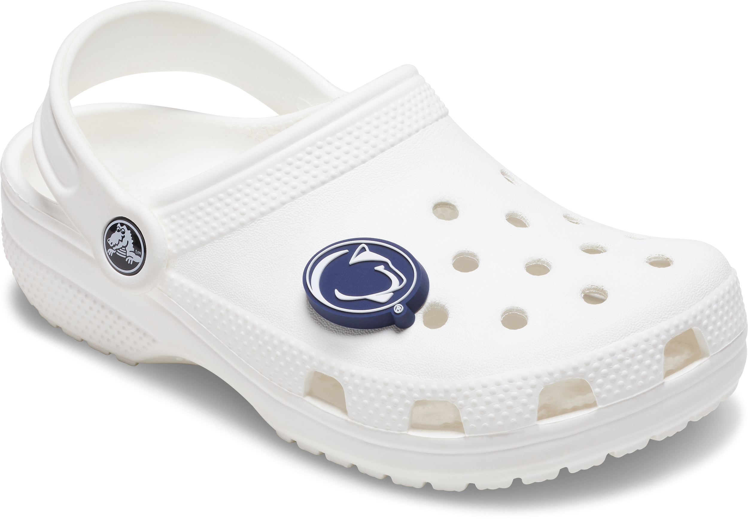 Penn State University