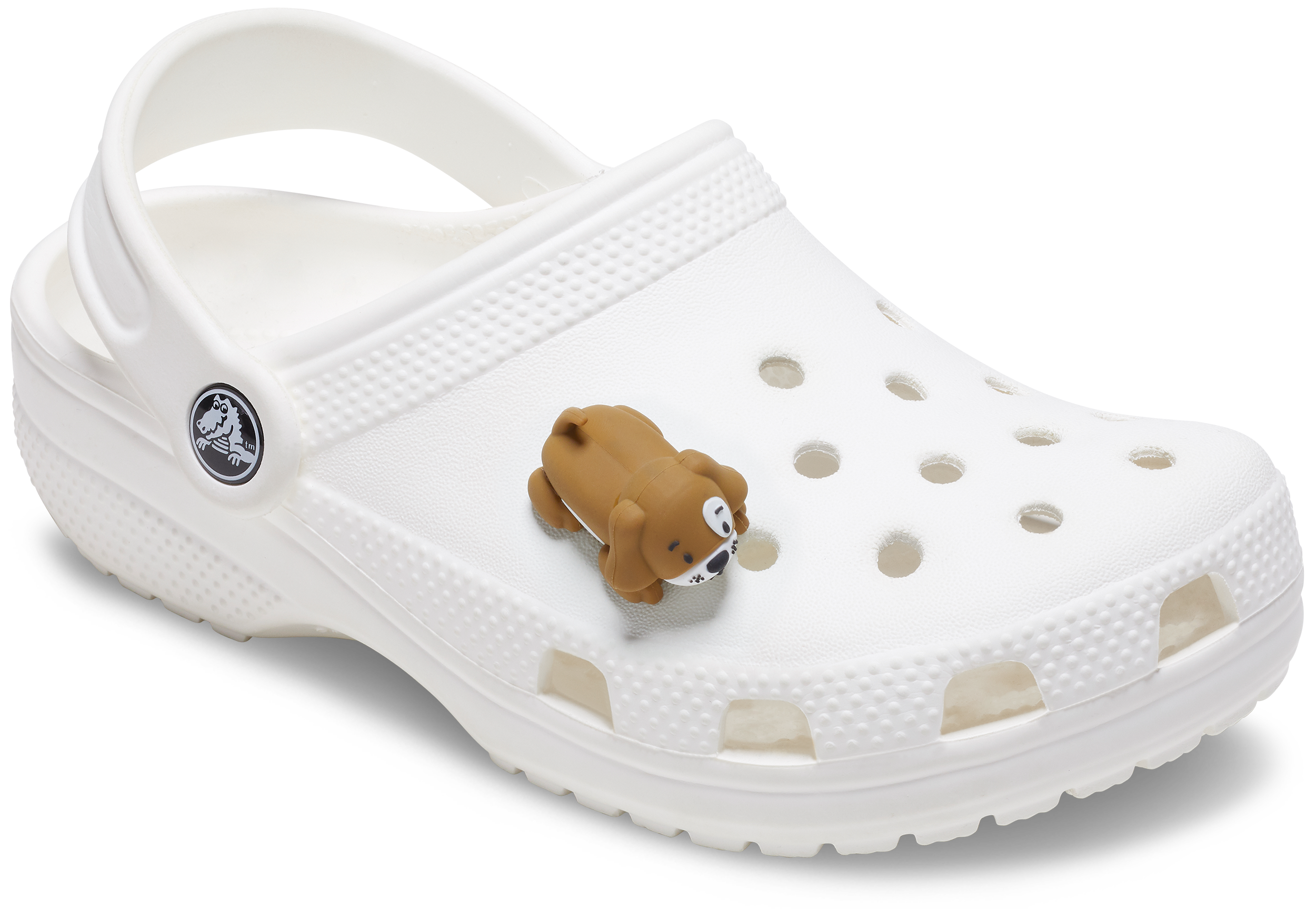 3D Dog With Paws