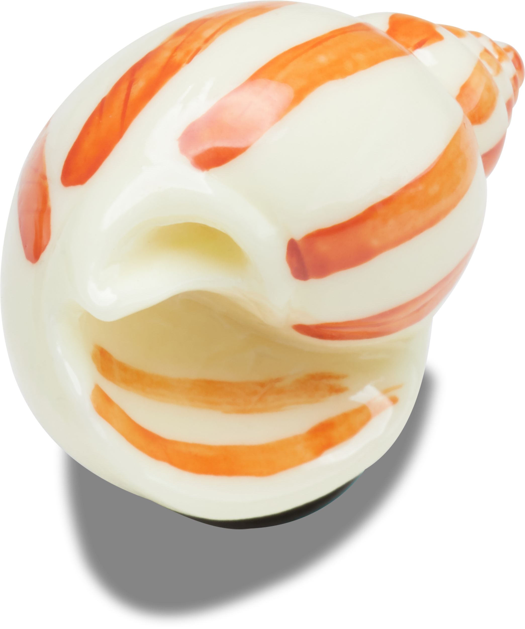 Natural Conch Shell