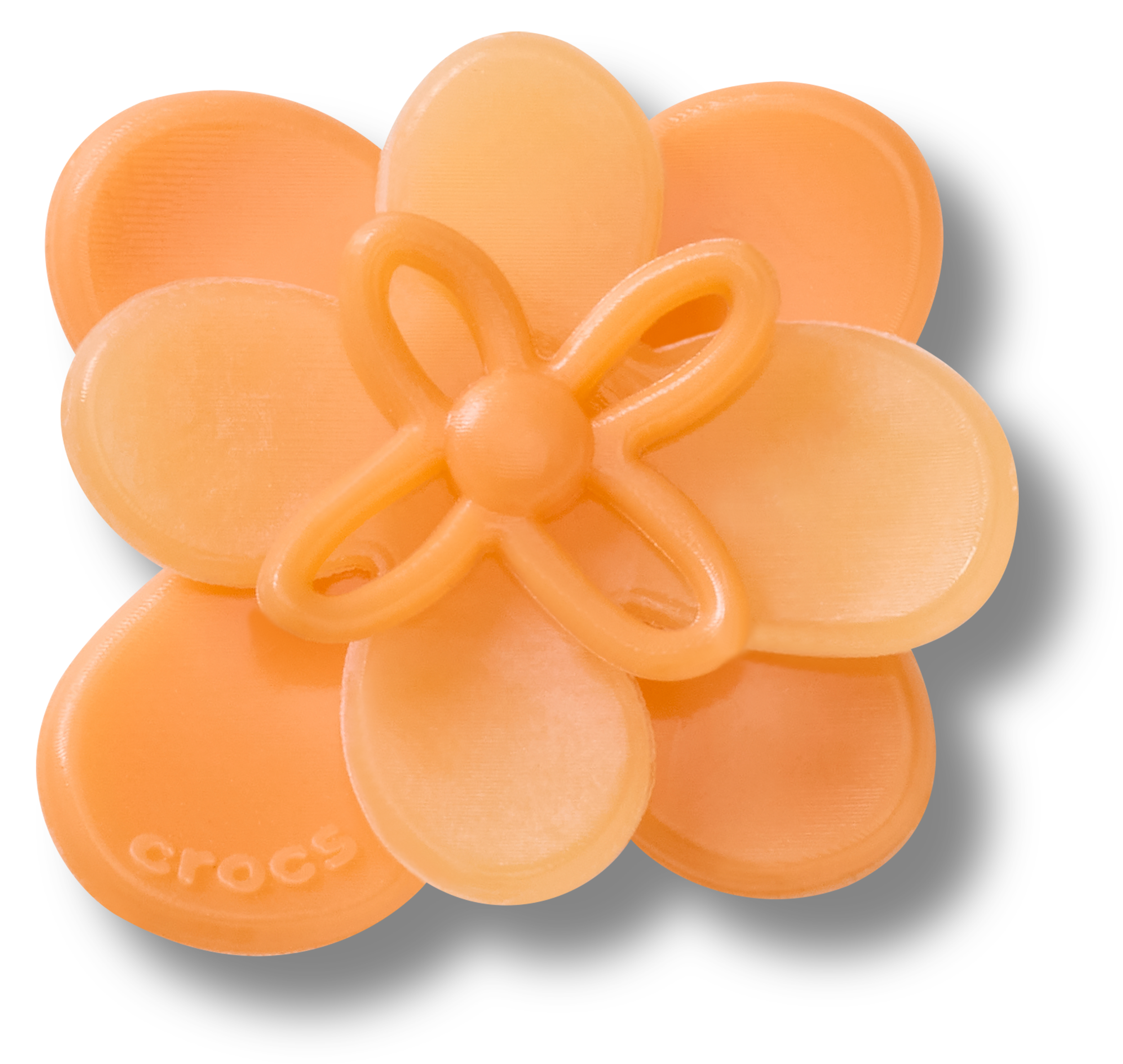 Blooming Dark Orange Flower