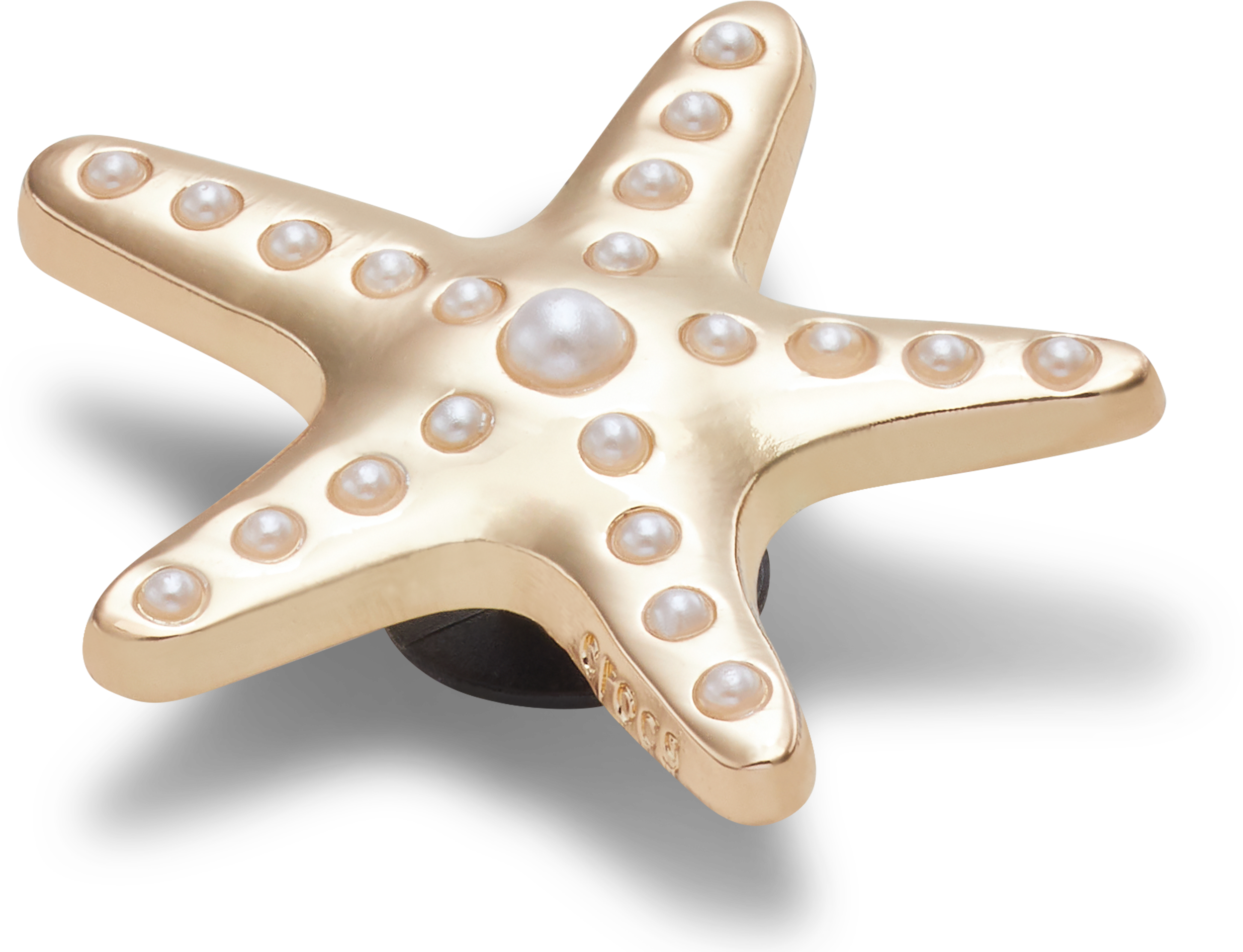 Gold and Pearl Starfish