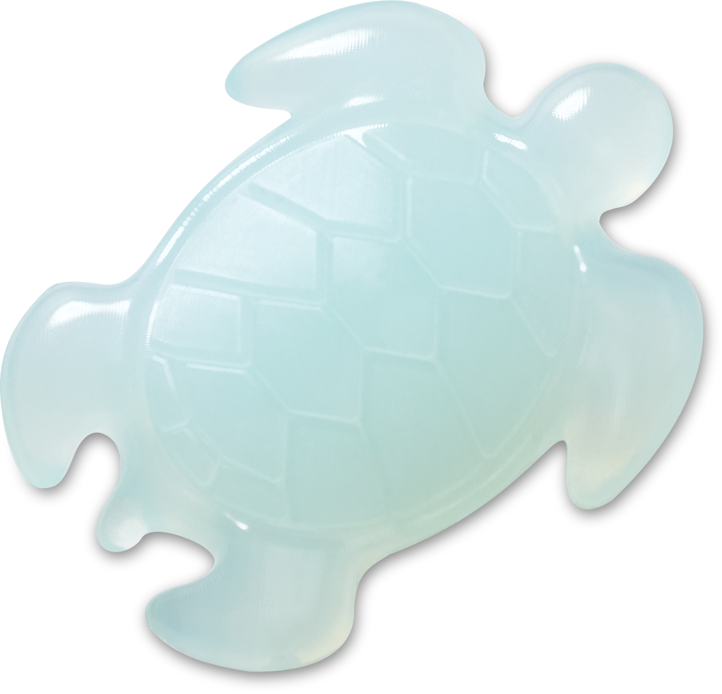 Light Blue Turtle
