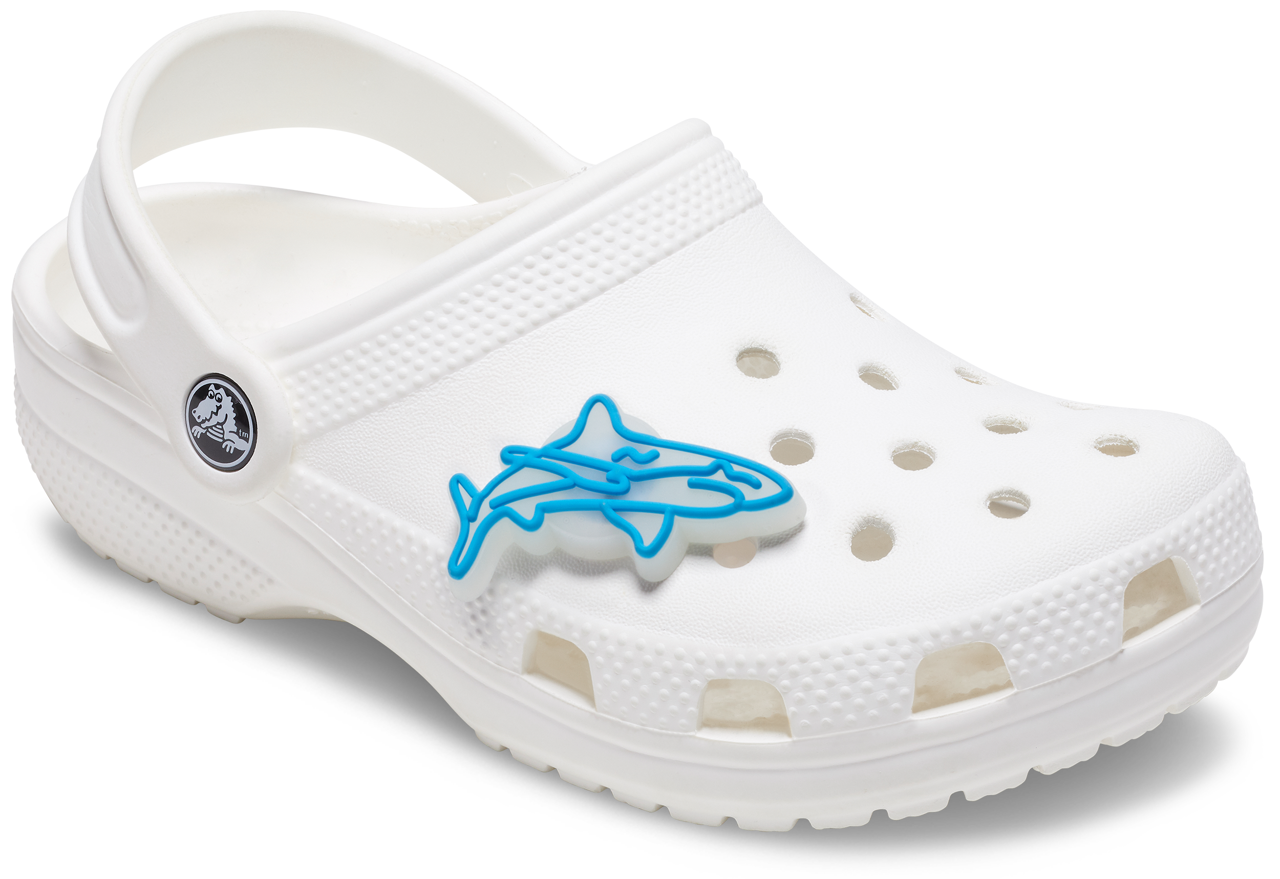 Lights Up Shark