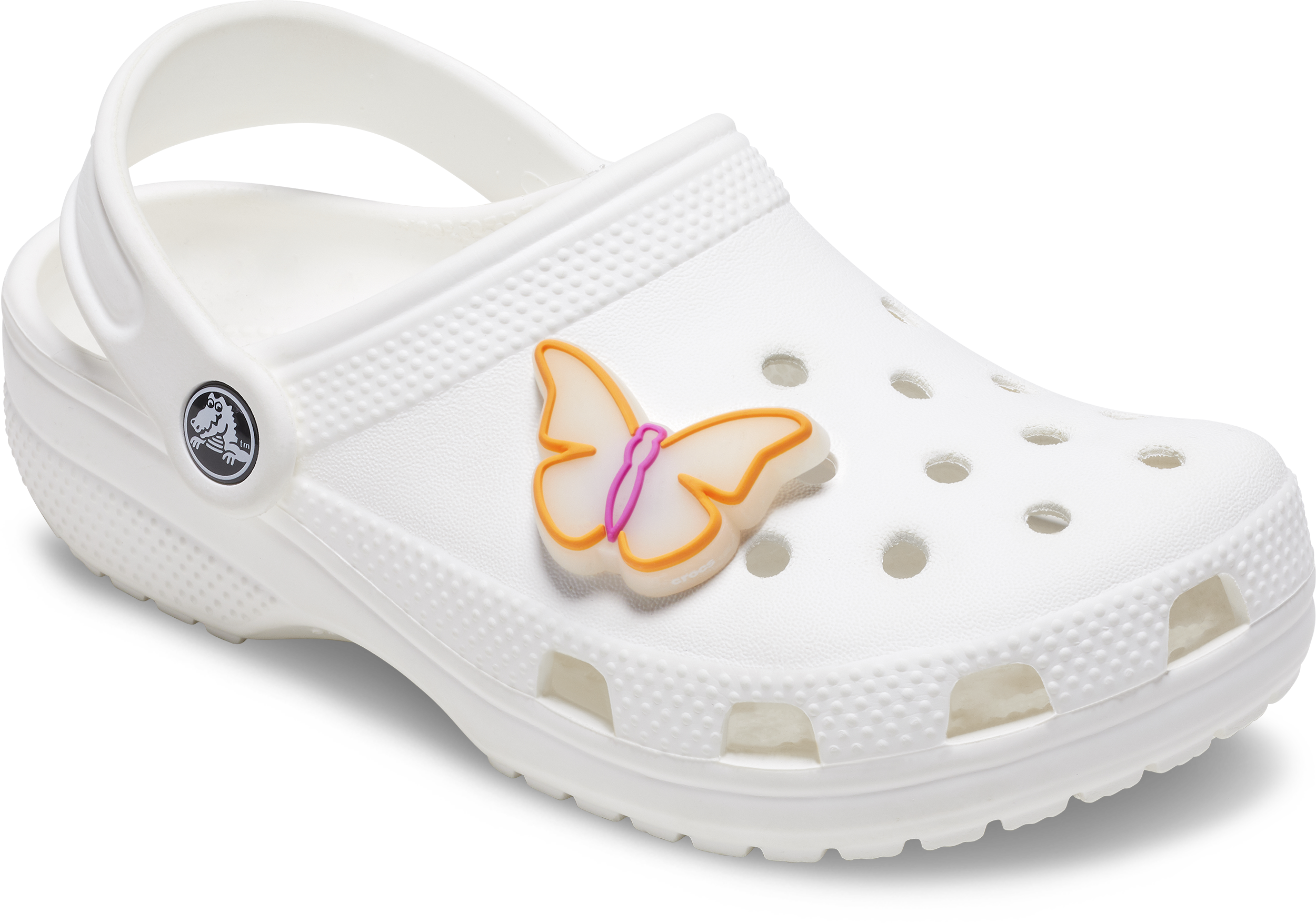 Lights Up Butterfly