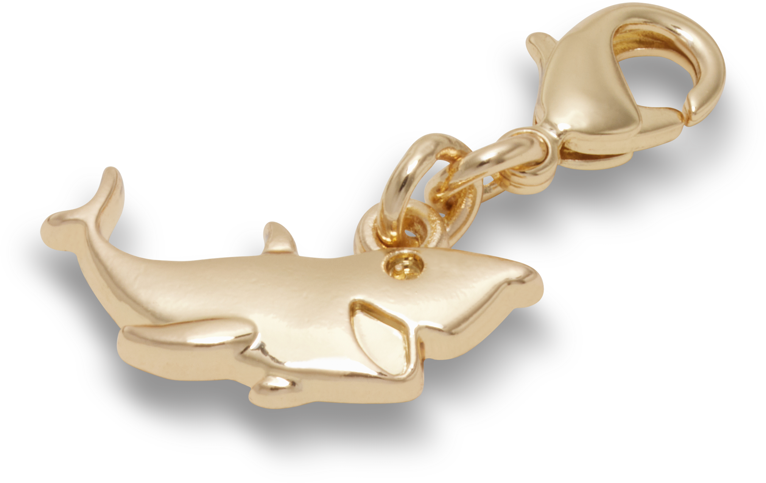Fish Charm
