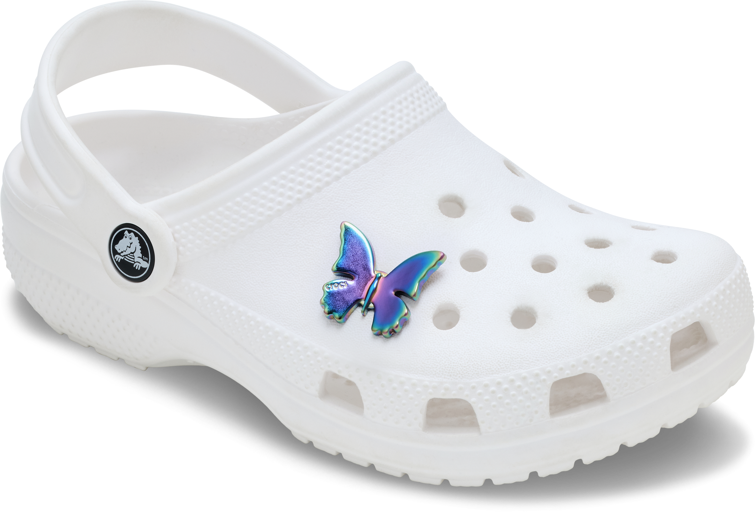 Iridescent Butterfly