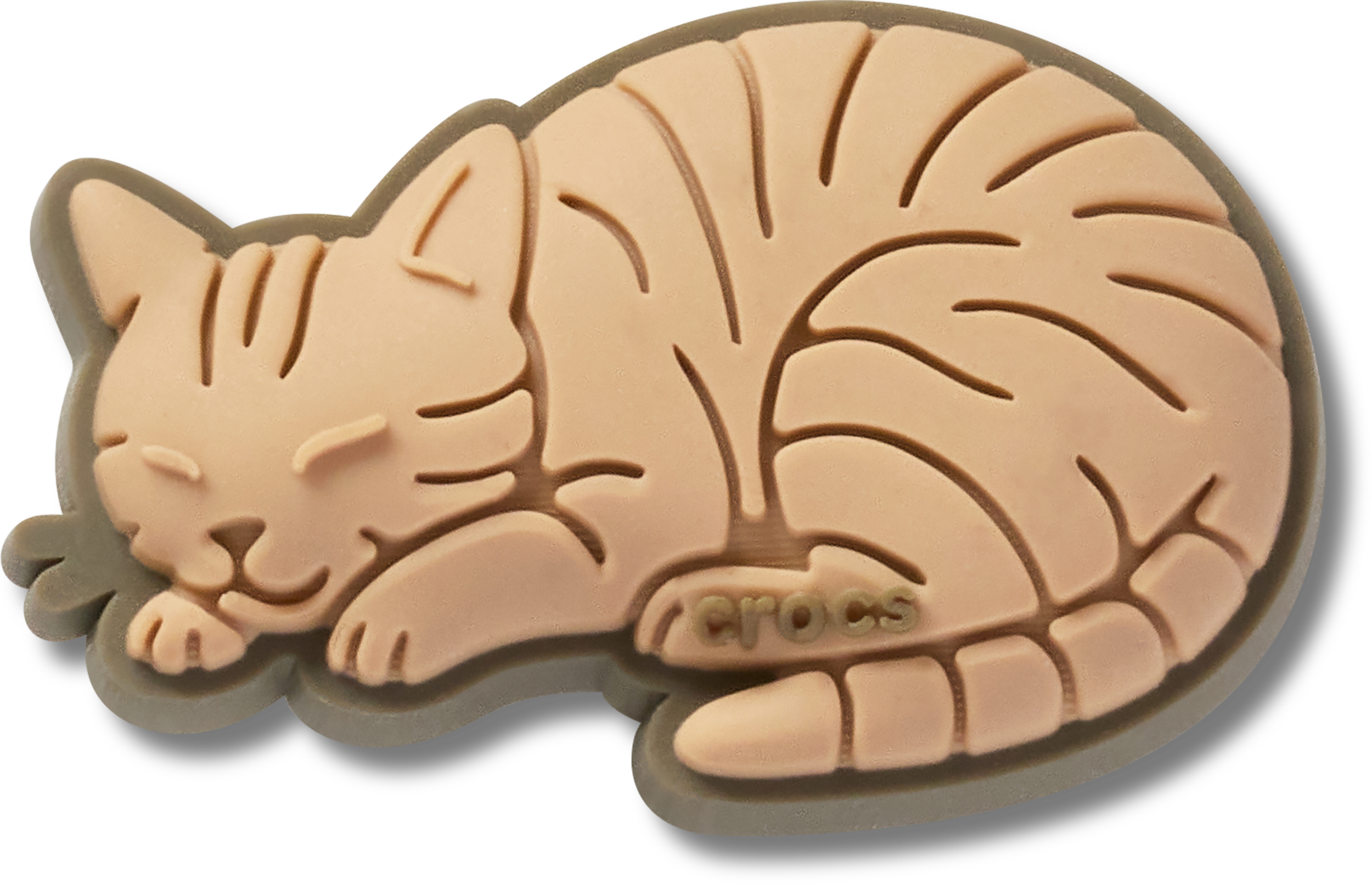 Tabby Cat