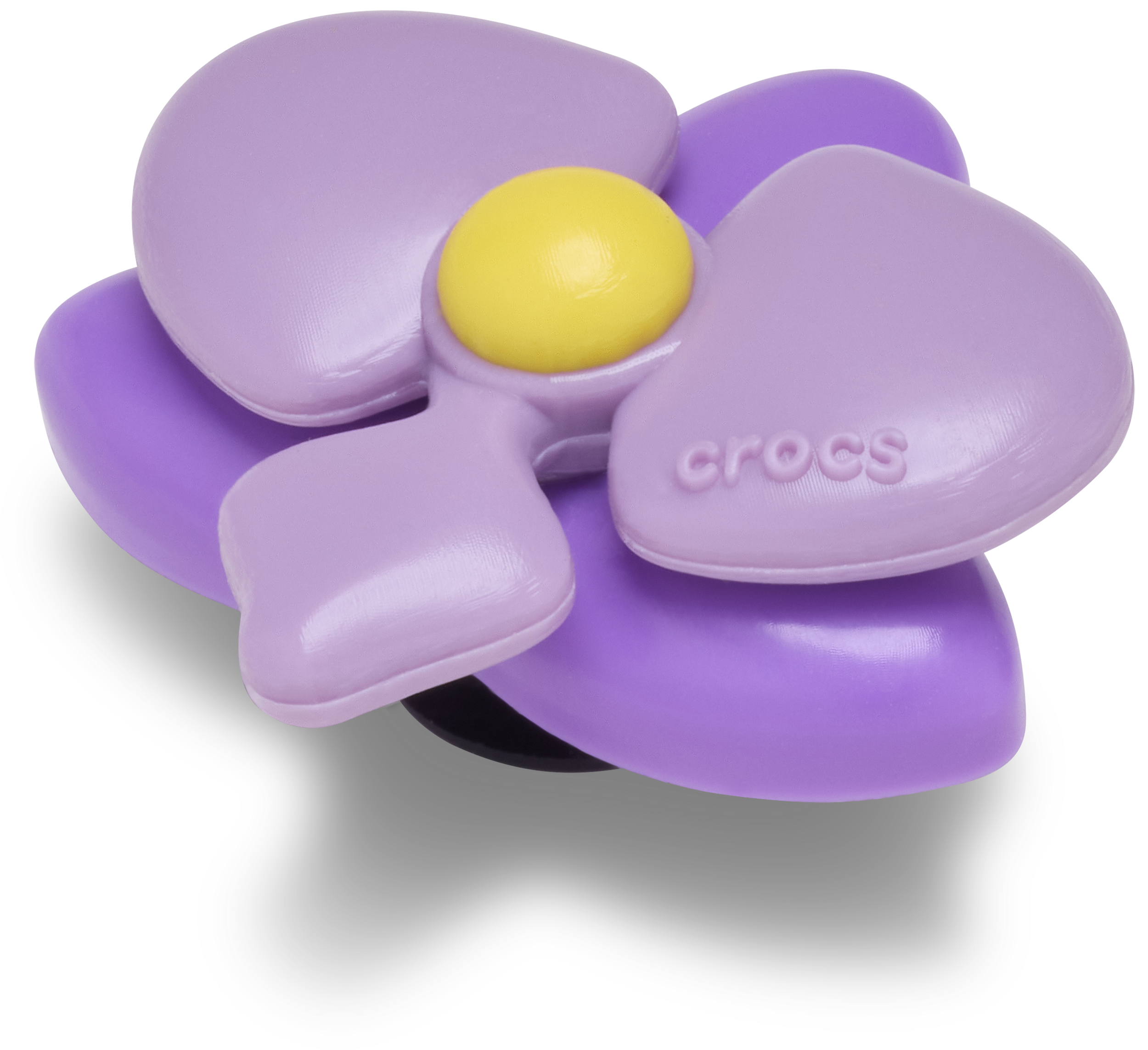 Purple Orchid