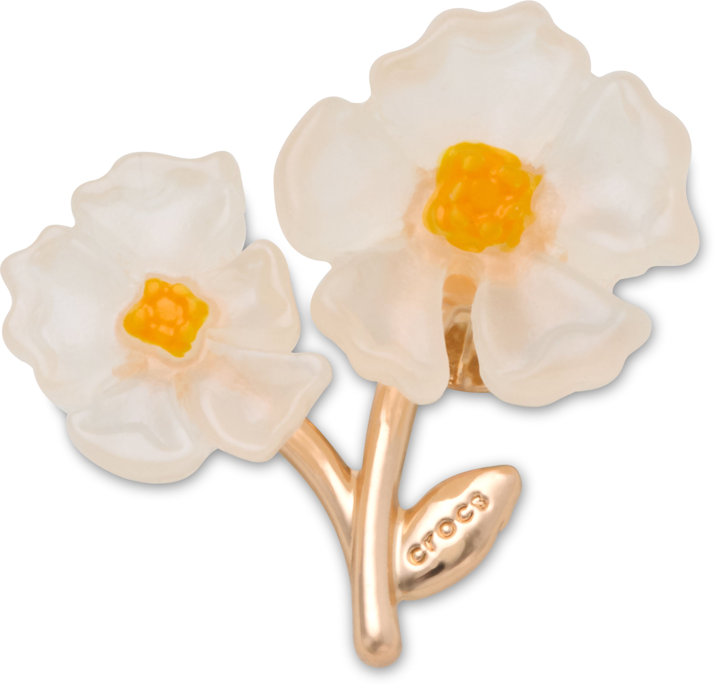 White Floral Blossom