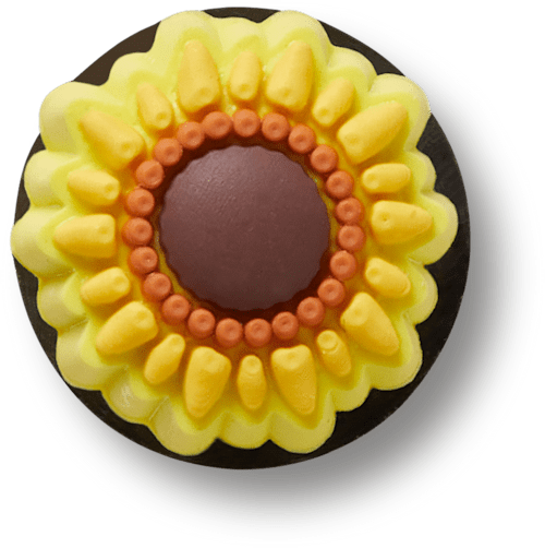 Sunflower jibbitz for crocs clearance