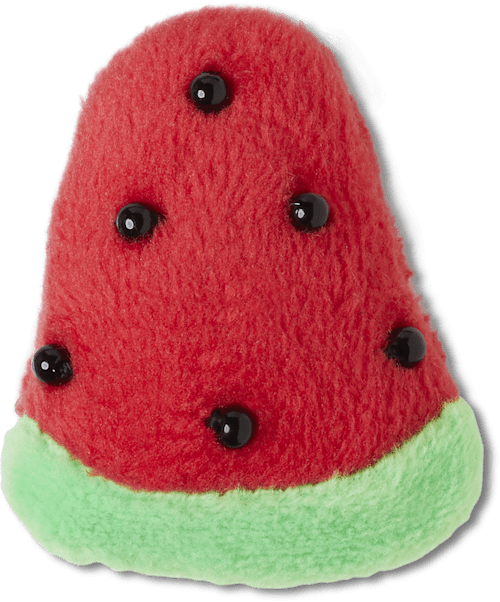 Fuzzy Watermelon Jibbitz Shoe Charm - Crocs
