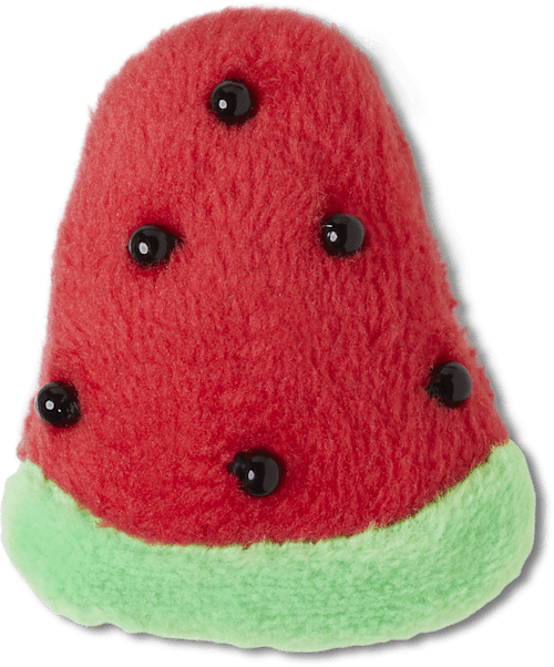 Fuzzy Watermelon Jibbitz Shoe Charm Crocs