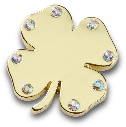 Bling Clover Jibbitz™ charms Crocs