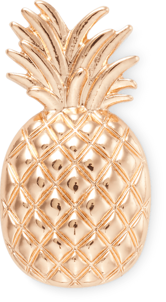 Crocs with pineapples sale
