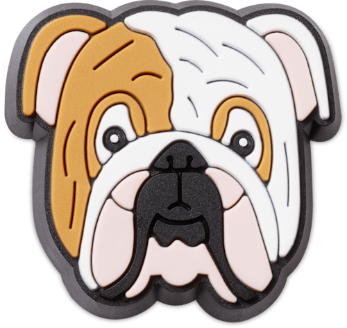 Georgia bulldog clearance croc charm