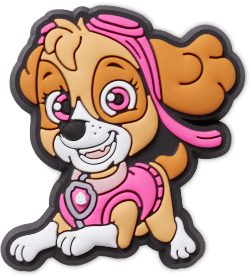 Paw patrol skye top crocs