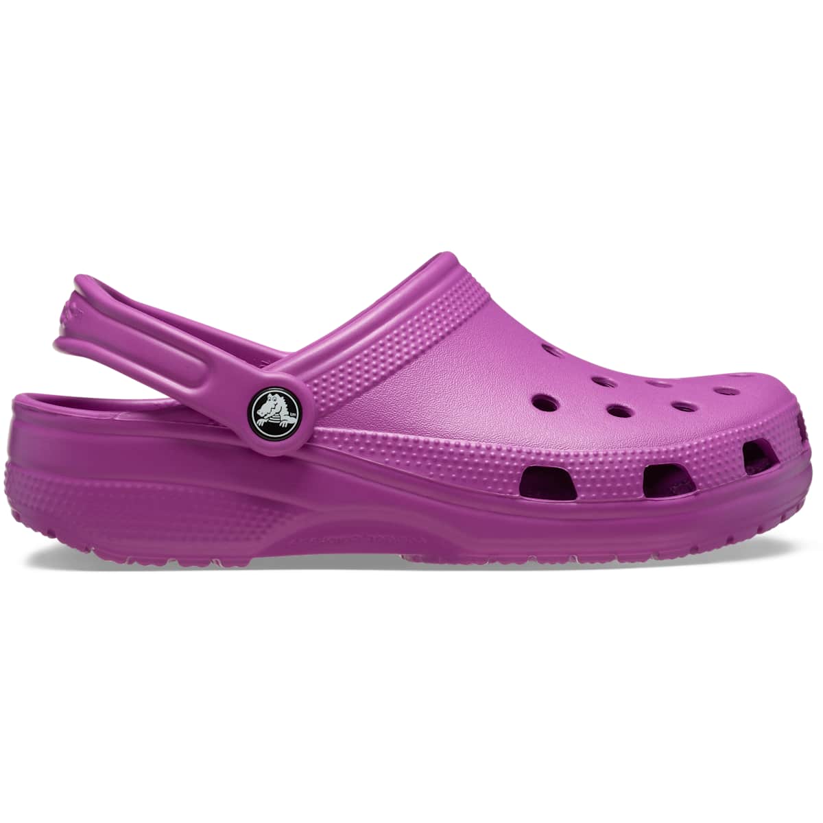 Purple - Grapeberry