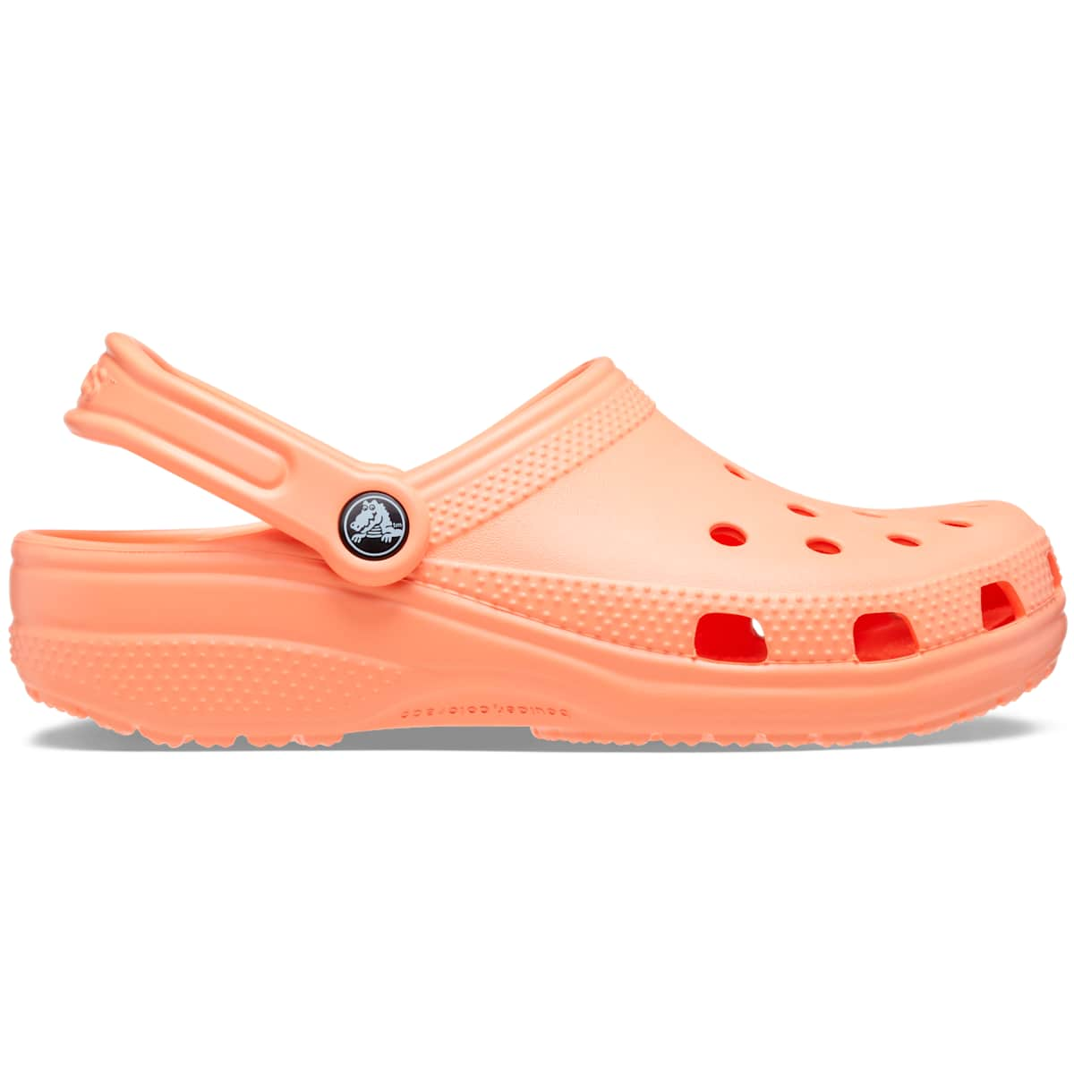 Crocs Classic Clog