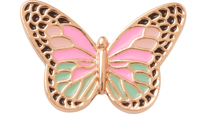 

Elevated Colorful Butterfly