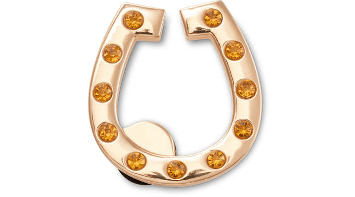 

Gold Studded Horseshoe