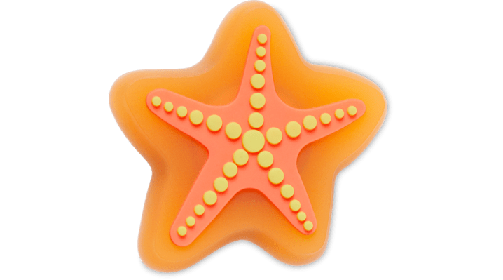 

Lights Up Starfish