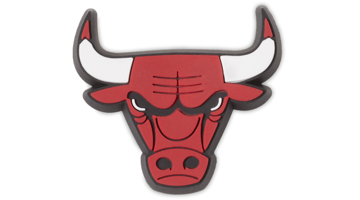 

NBA Chicago Bulls