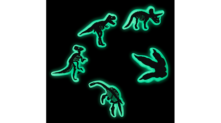 

Glow In The Dark Dino 5 Pack