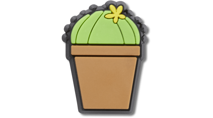 

Potted Cactus