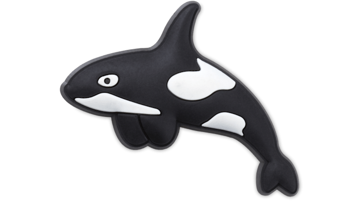 Arctic Orca