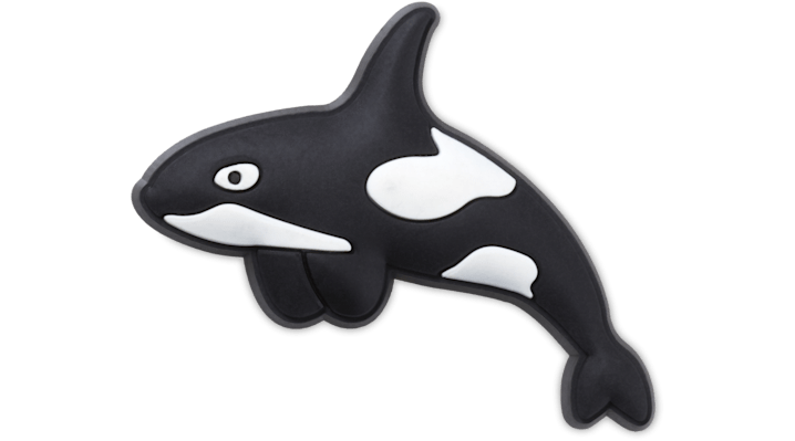 

Arctic Orca