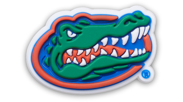 

University of Florida