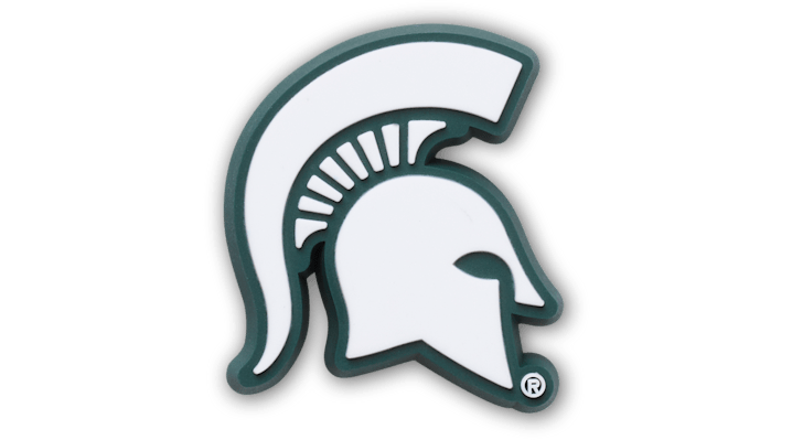 

Michigan State University