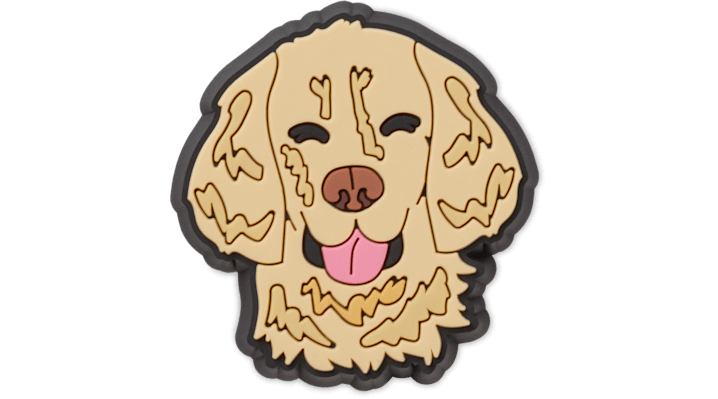 

Golden Retriever Dog