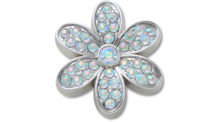 

Silver Mnchrm Daisy 1