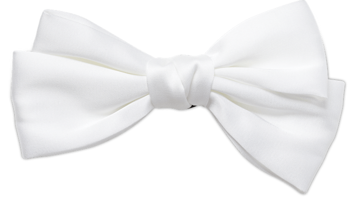 

Oversized Regal White Bow