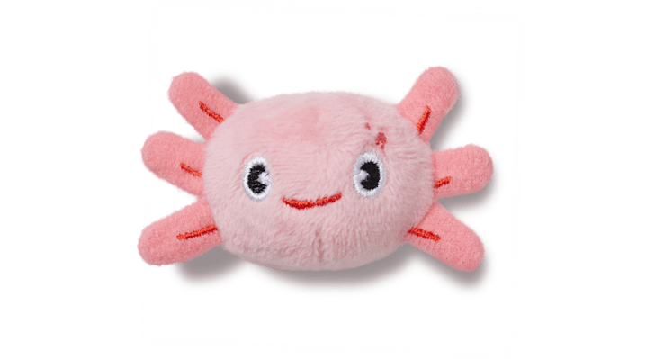 Jibbitz Adjustable Axolotl